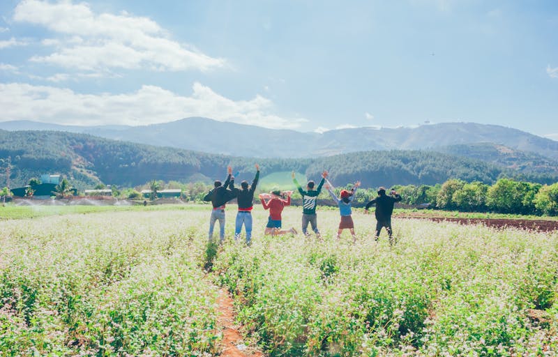 Group travel and charter ferry services with Irish Ferries